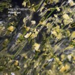 NAILSOFTHEDAY Build gel Flower 01 – przezroczysty żel budujący z kwiatami, 15 ml - obrazek 3