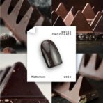 NAILSOFTHEDAY Matterhorn – czekoladowo-brązowy lakier hybrydowy ze złotą drobinką, 10 ml - obrazek 2